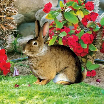 Акриловый кол для кролика, Садовый кол, Декоративные вставки для газона, знаки с двусторонней печатью, украшение сада для двора